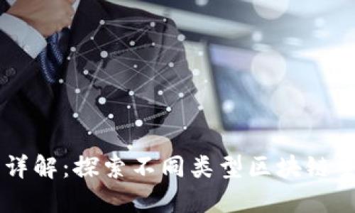 区块链主网类型详解：探索不同类型区块链主网的特征与应用
